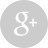 google plus@2x